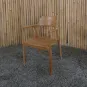 morepic-2